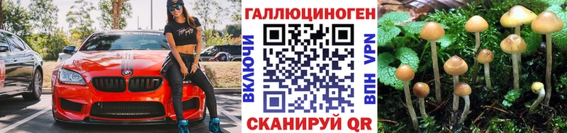 где можно купить   Красный Сулин  Галлюциногенные грибы GOLDEN TEACHER 